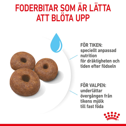 Royal Canin Giant Starter Torrfoder för hundvalp