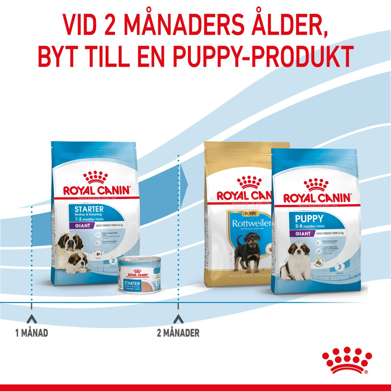Royal Canin Giant Starter Torrfoder för hundvalp