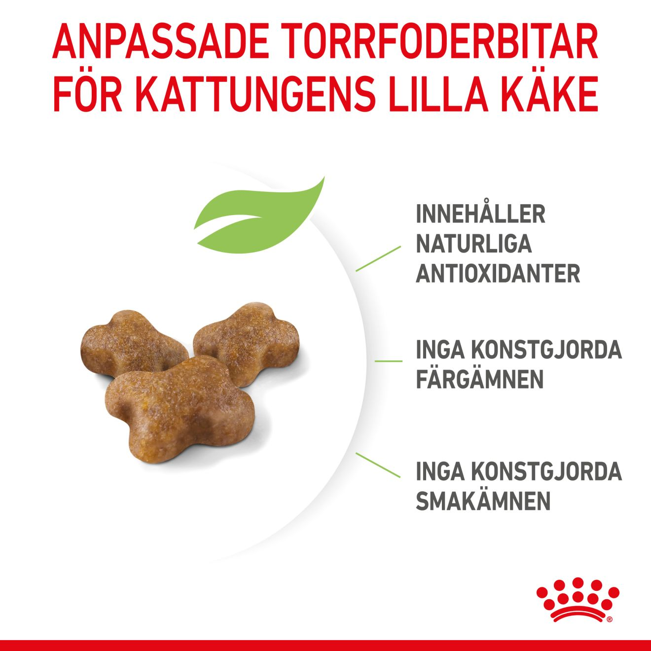 Royal Canin Kitten Torrfoder för kattunge