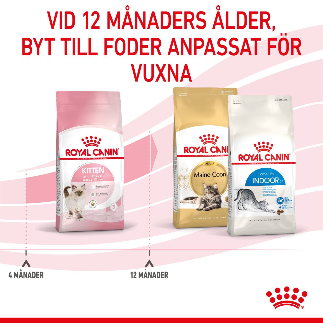 Royal Canin Kitten Torrfoder för kattunge