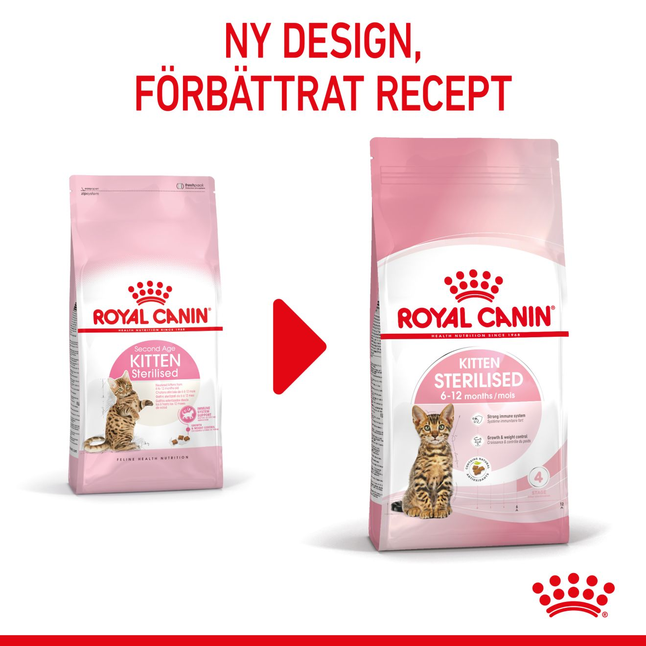 Royal Canin Kitten Sterilised Torrfoder för kattunge