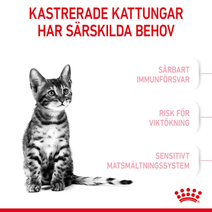 Royal Canin Kitten Sterilised Torrfoder för kattunge