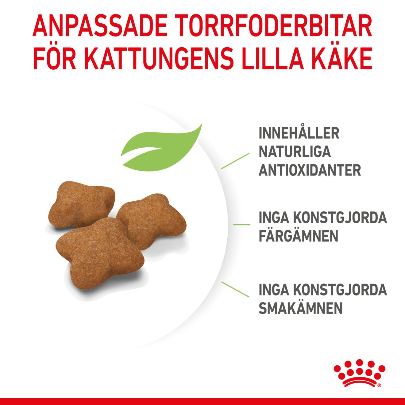 Royal Canin Kitten Sterilised Torrfoder för kattunge