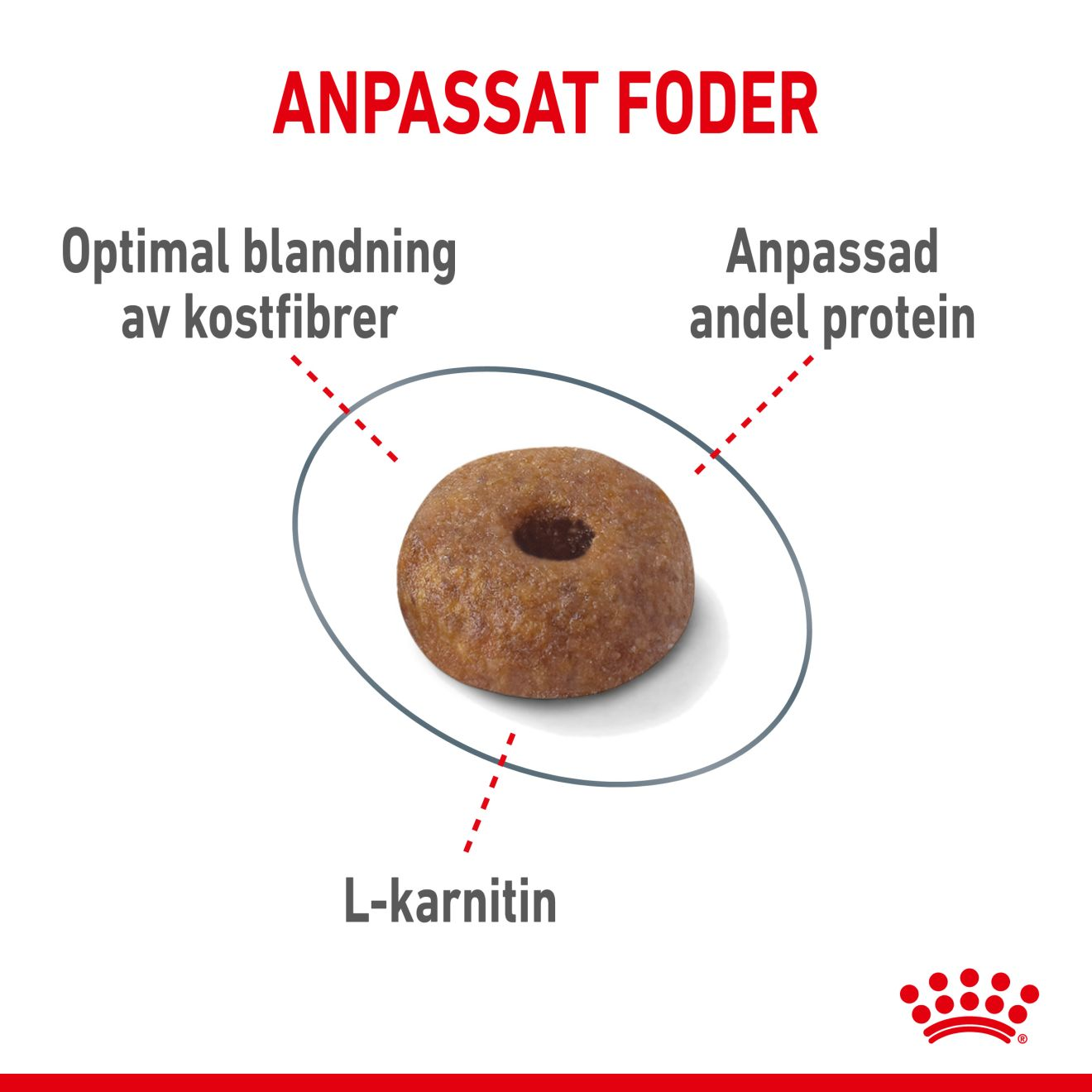 Royal Canin Light Weight Care Adult Torrfoder för katt