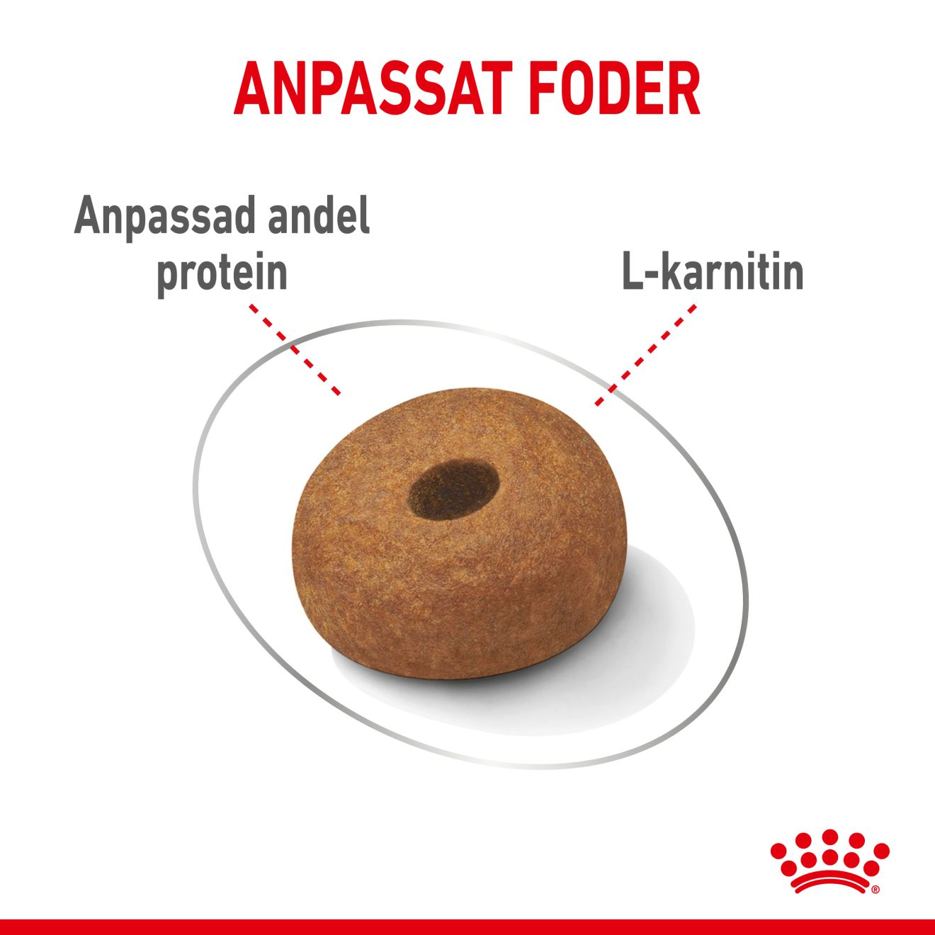 Royal Canin Light weight Care Adult MAXI Torrfoder för hund