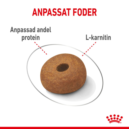 Royal Canin Light weight Care Adult MAXI Torrfoder för hund