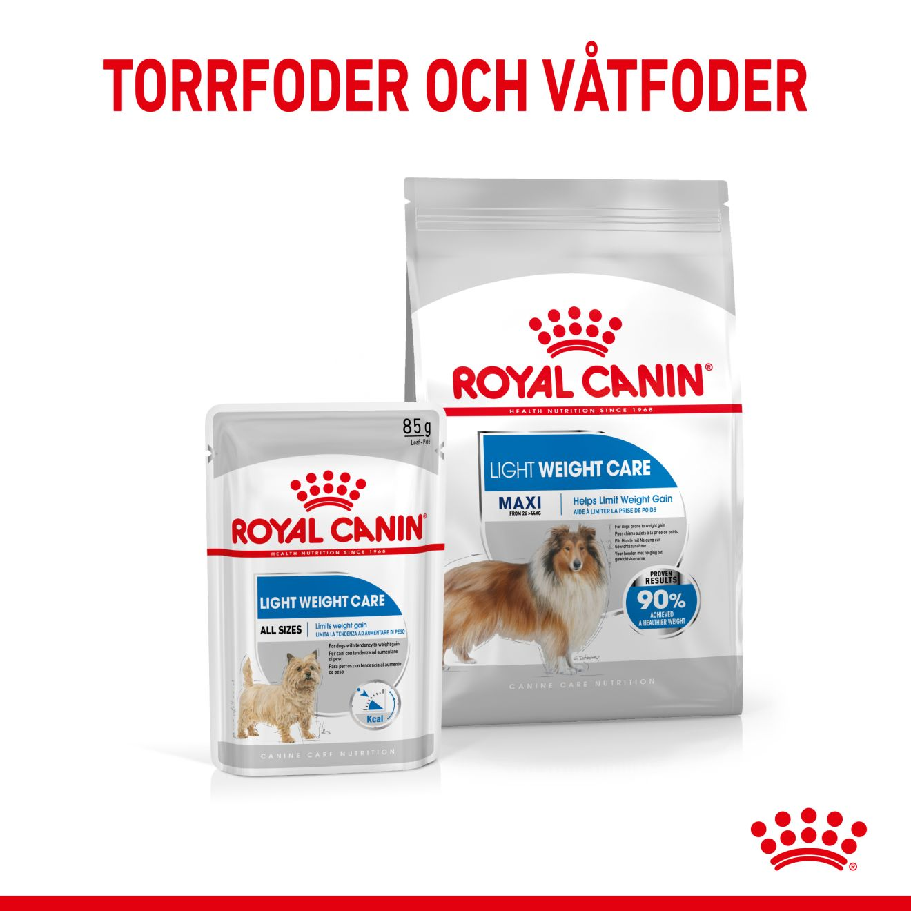 Royal Canin Light weight Care Adult MAXI Torrfoder för hund