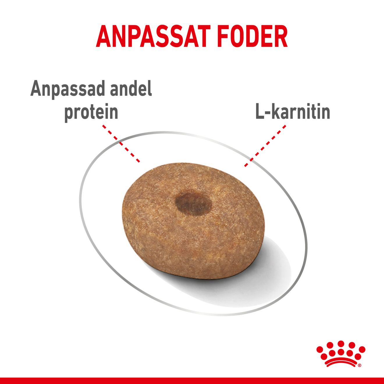 Royal Canin Light weight Care Adult MINI Torrfoder för hund