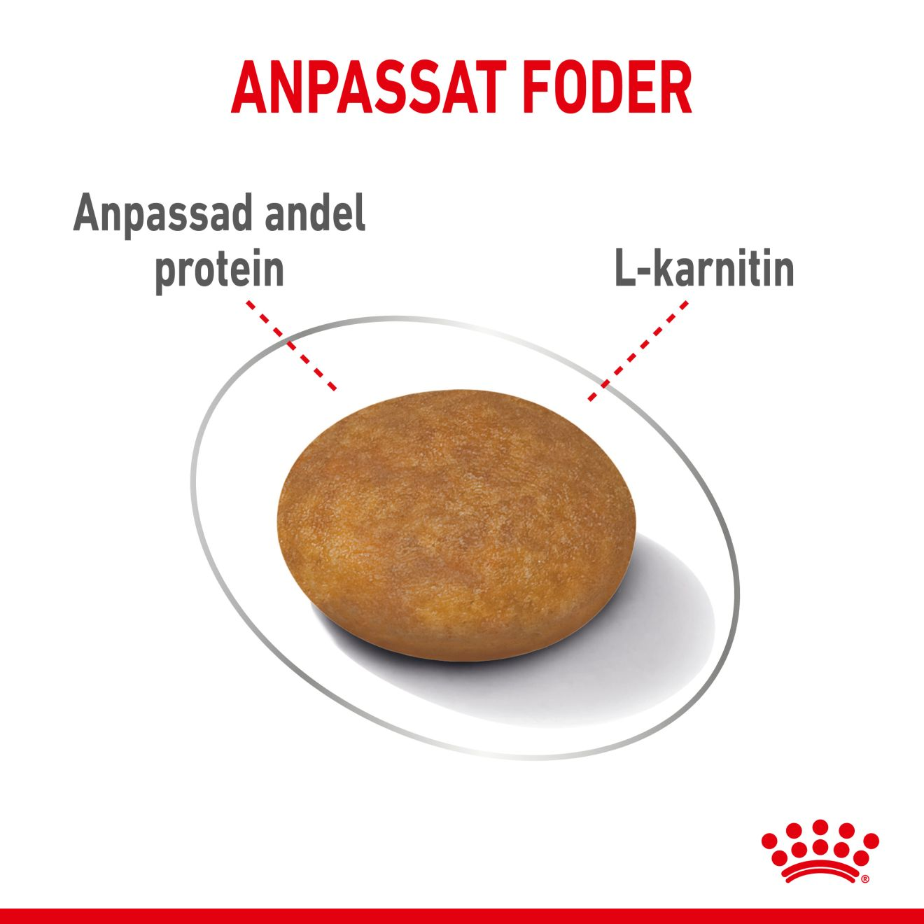 Royal Canin Light Weight Care Adult X-SMALL Torrfoder för hund