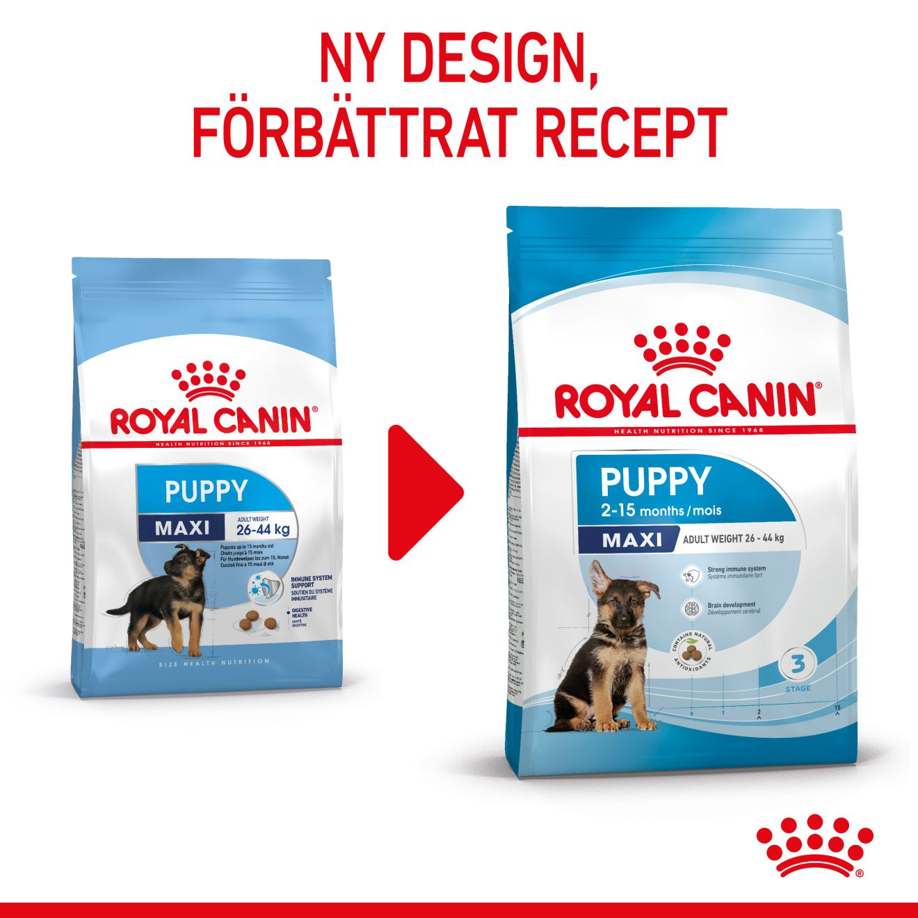 Royal Canin Maxi Puppy Torrfoder för hundvalp