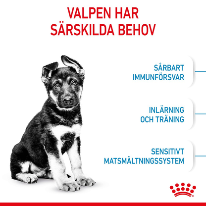 Royal Canin Maxi Puppy Torrfoder för hundvalp