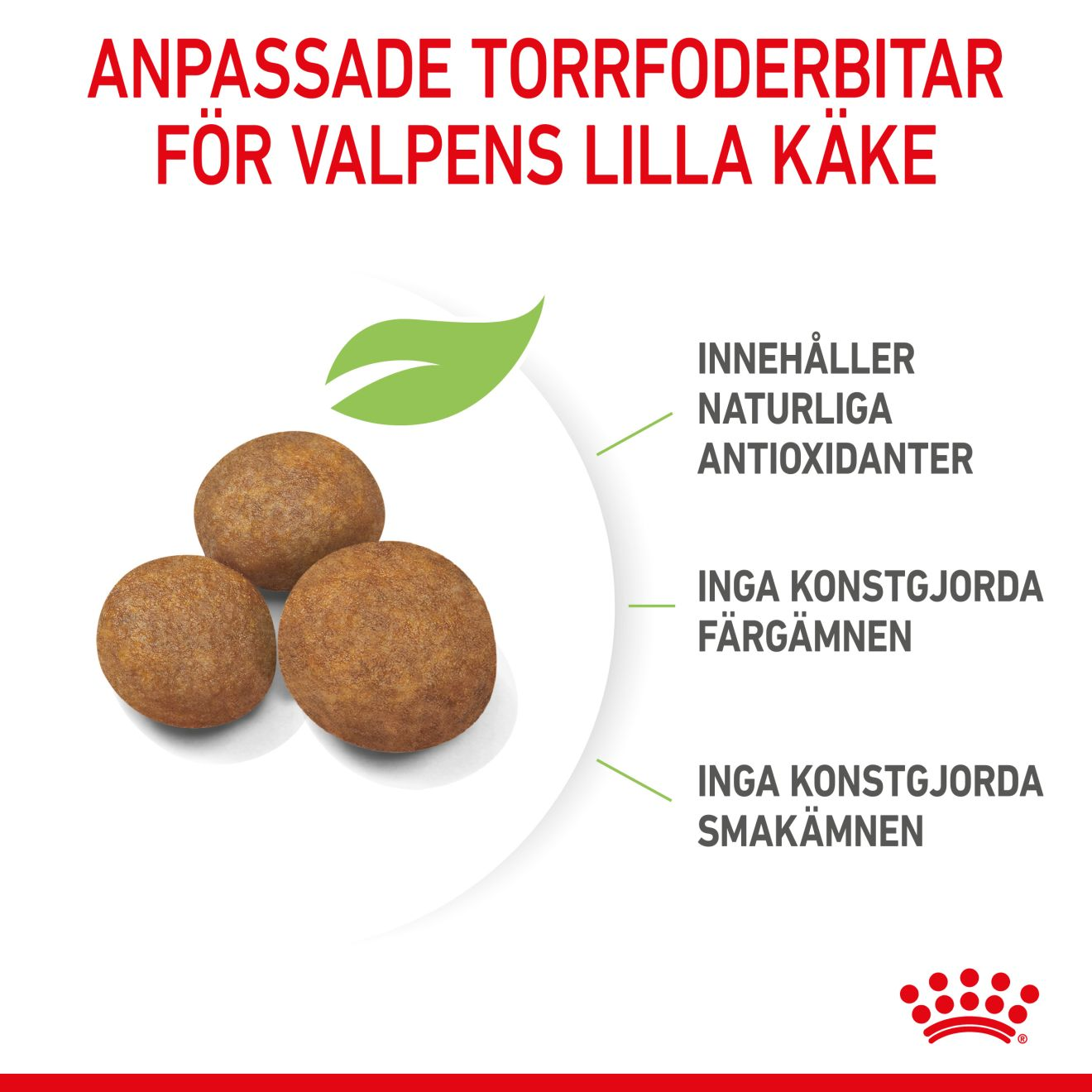 Royal Canin Maxi Puppy Torrfoder för hundvalp