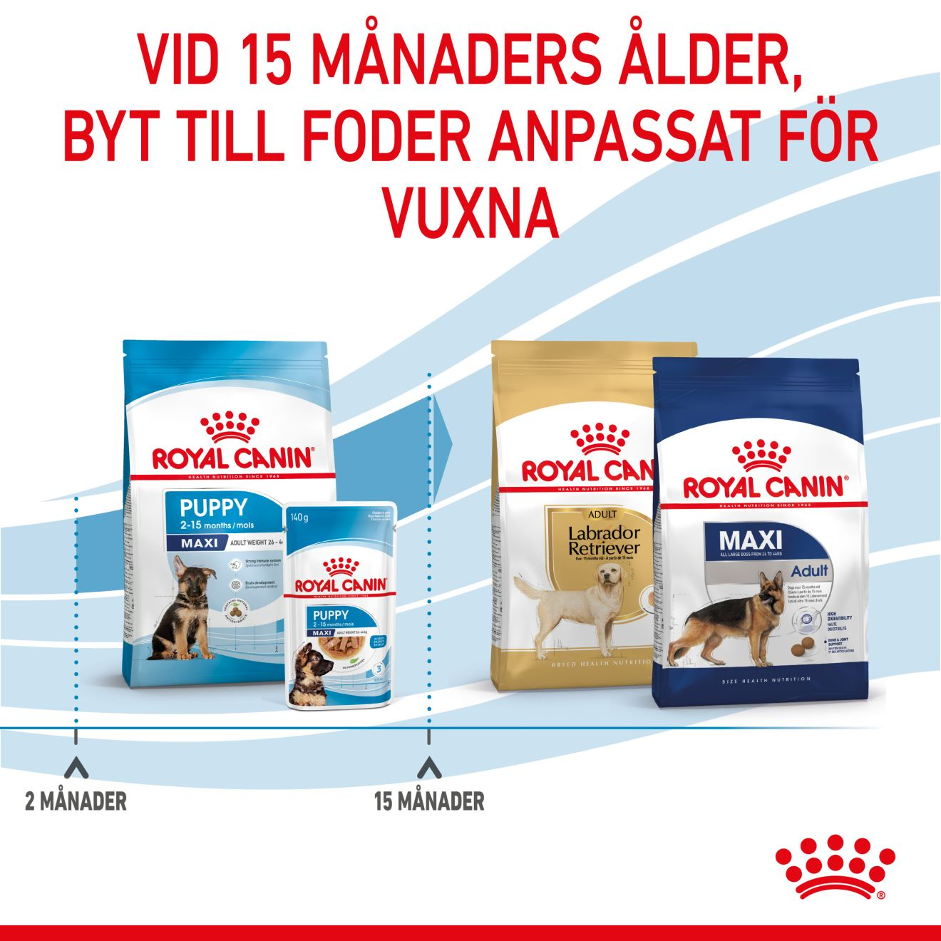 Royal Canin Maxi Puppy Torrfoder för hundvalp