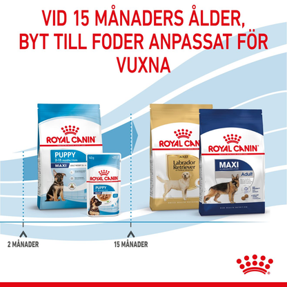 Royal Canin Maxi Puppy Torrfoder för hundvalp