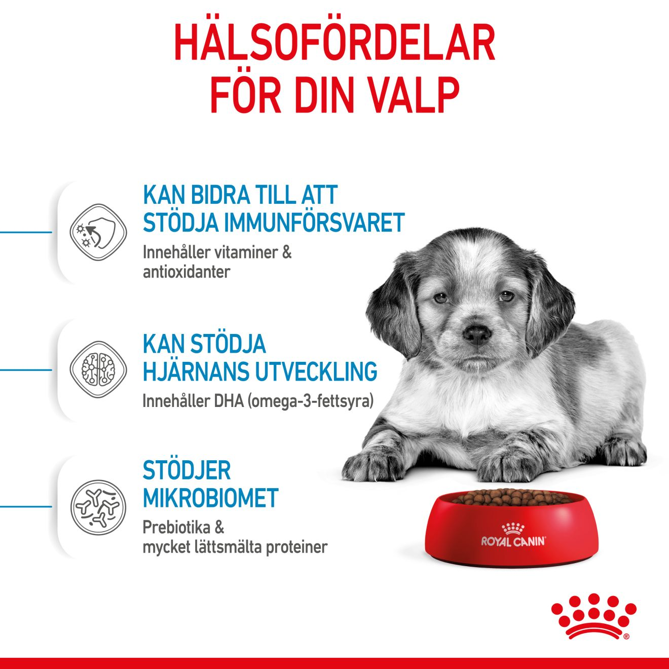 Royal Canin Medium Puppy Torrfoder för hundvalp