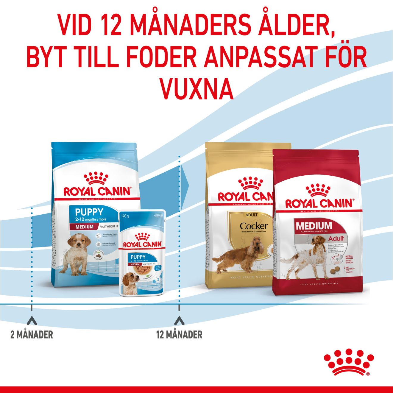 Royal Canin Medium Puppy Torrfoder för hundvalp