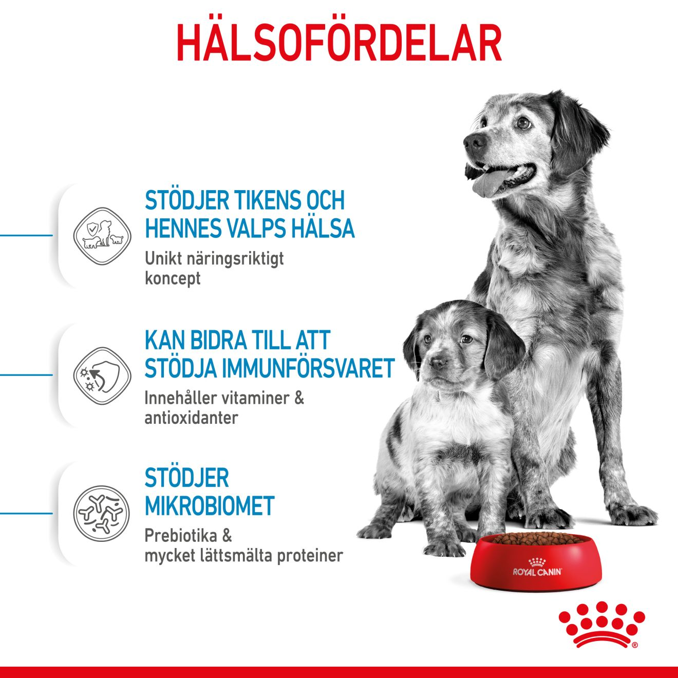 Royal Canin Medium Starter Torrfoder för hundvalp