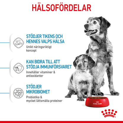 Royal Canin Medium Starter Torrfoder för hundvalp