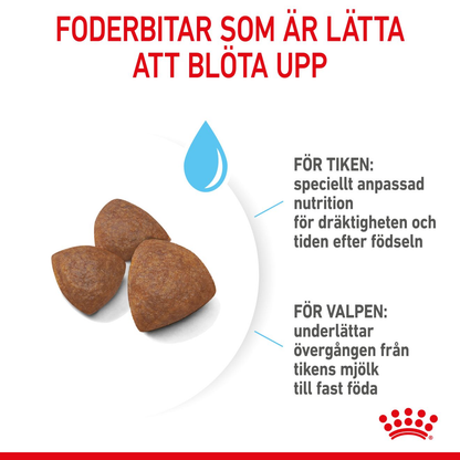 Royal Canin Medium Starter Torrfoder för hundvalp