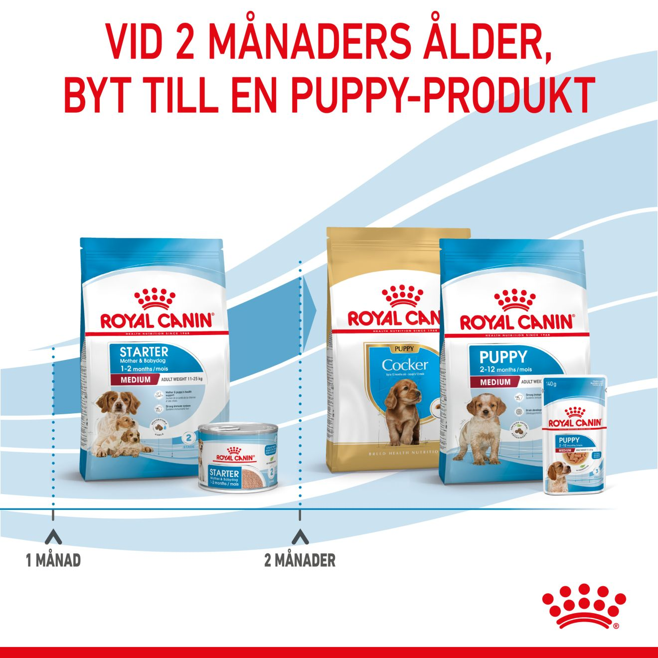 Royal Canin Medium Starter Torrfoder för hundvalp