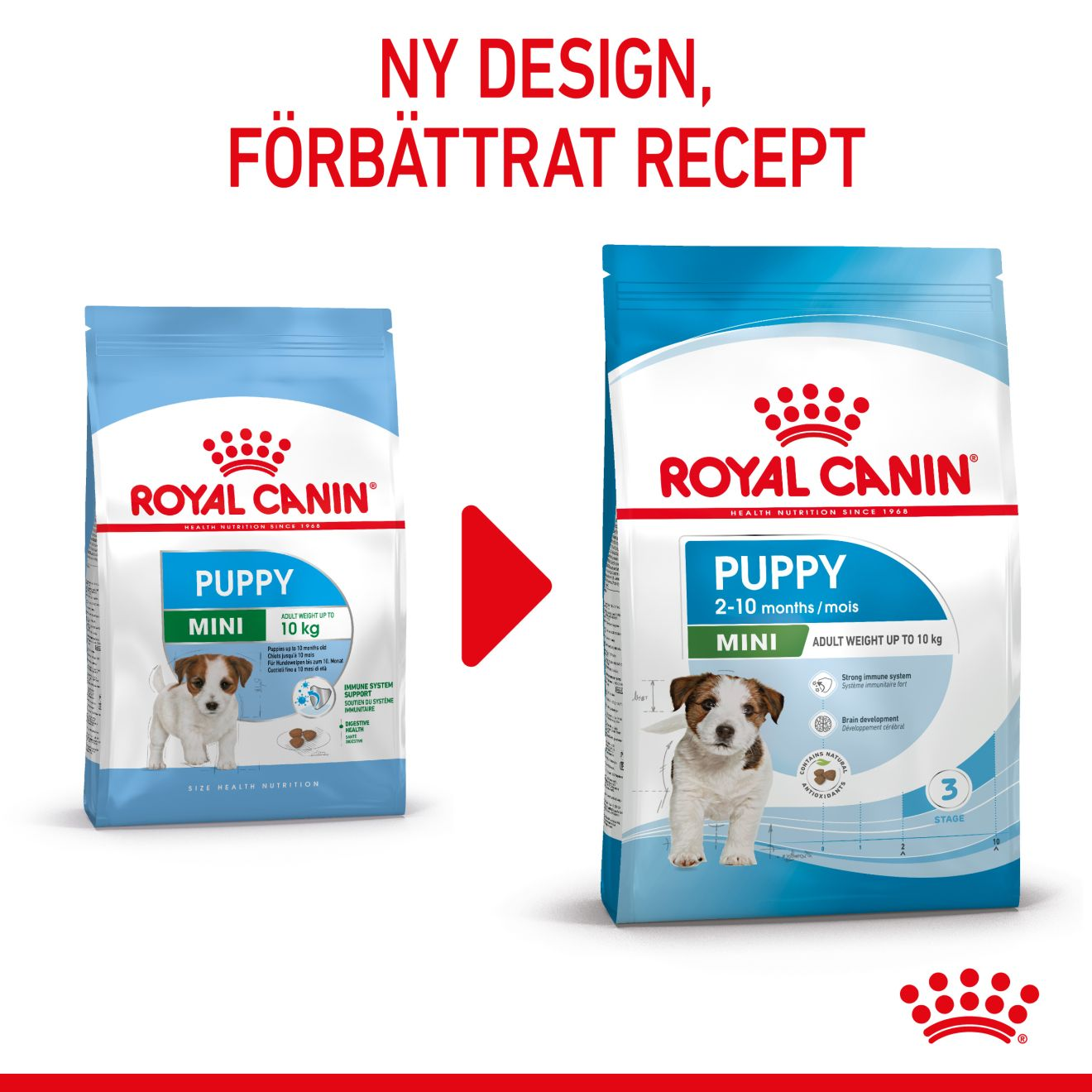 Royal Canin Mini Puppy Torrfoder för hundvalp