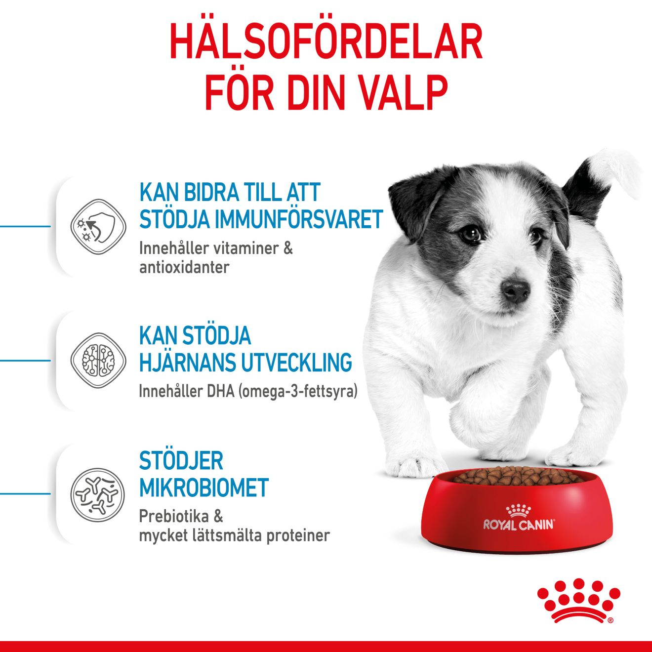 Royal Canin Mini Puppy Torrfoder för hundvalp