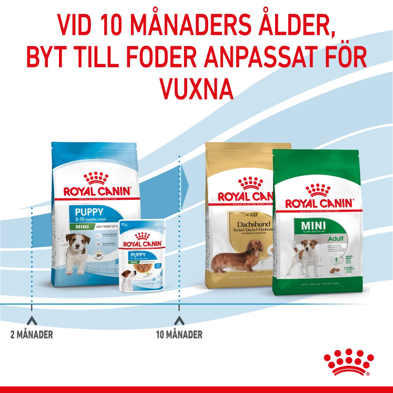 Royal Canin Mini Puppy Torrfoder för hundvalp