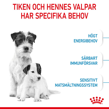 Royal Canin Mini Starter Torrfoder för hundvalp