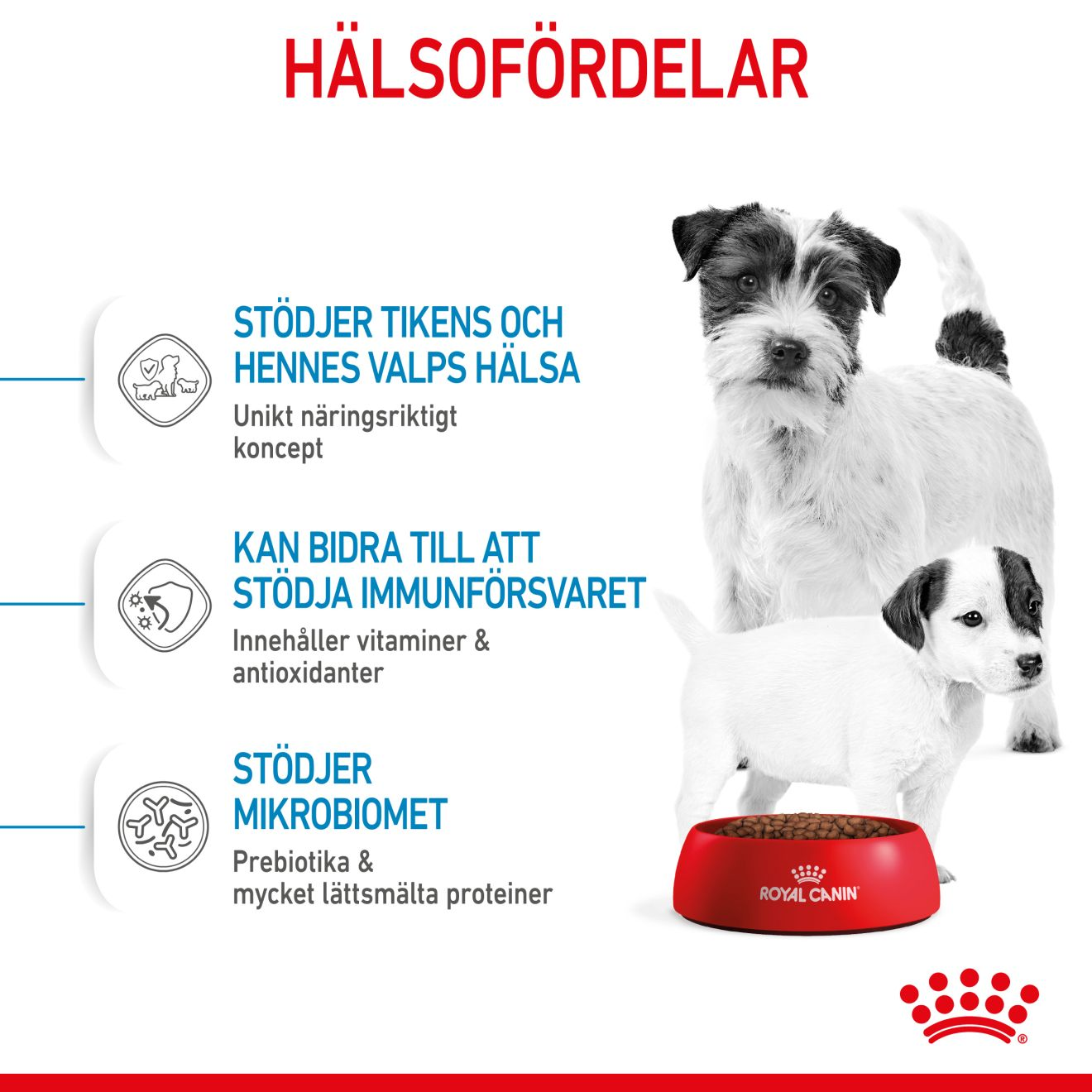 Royal Canin Mini Starter Torrfoder för hundvalp