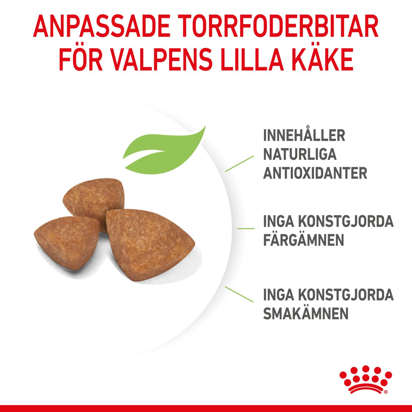 Royal Canin X-Small Puppy Torrfoder för hundvalp