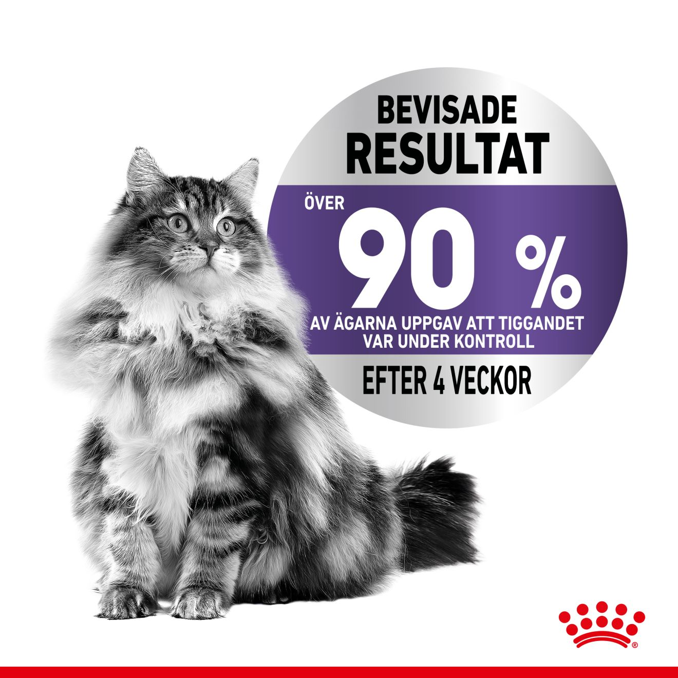 Royal Canin Appetite Control Gravy Adult Våtfoder för katt