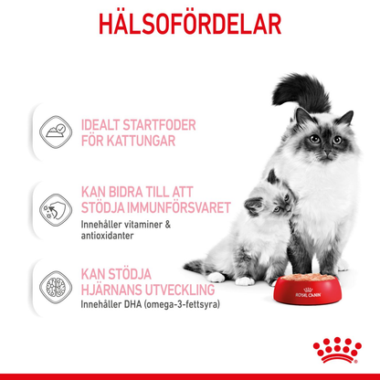 Royal Canin Mother Babycat Våtfoder för kattunge