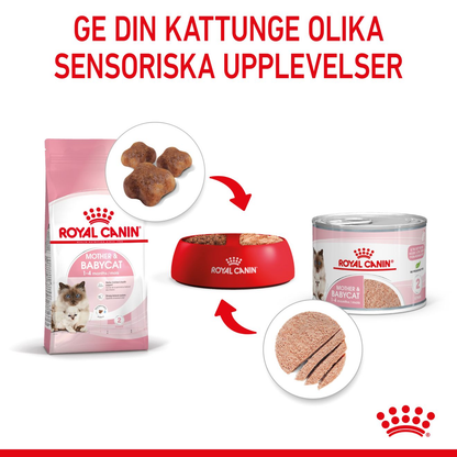 Royal Canin Mother Babycat Våtfoder för kattunge