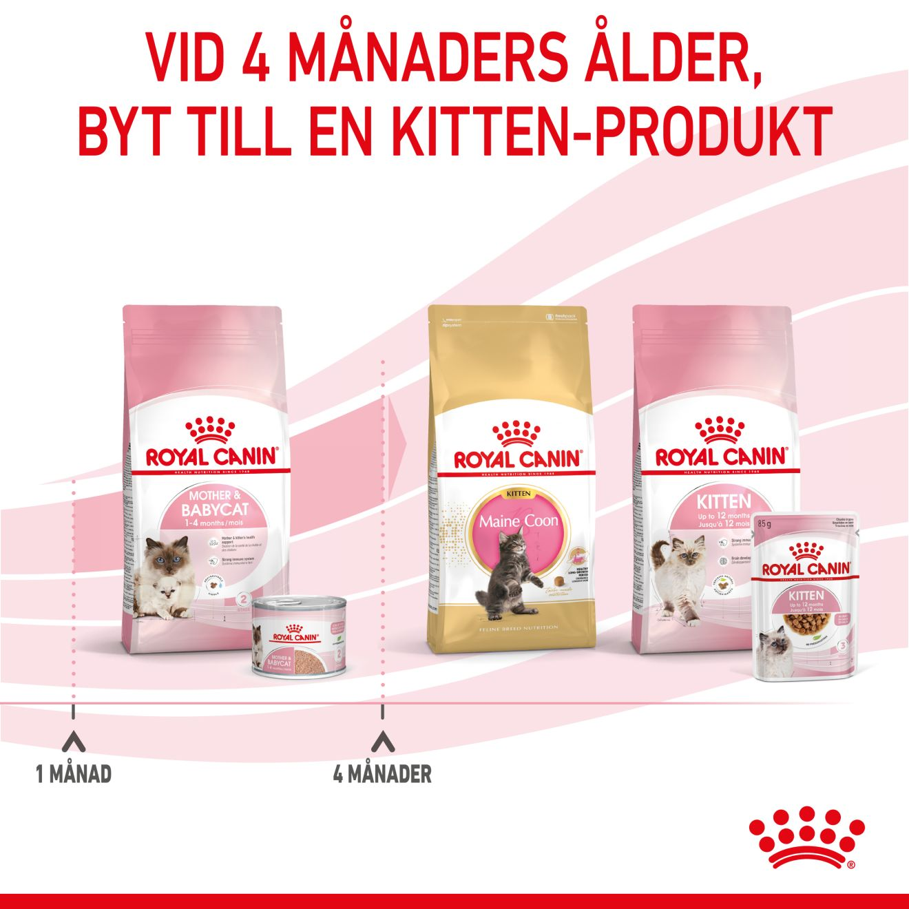 Royal Canin Mother Babycat Våtfoder för kattunge
