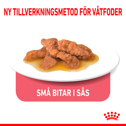 Royal Canin Indoor Gravy Adult Våtfoder för katt