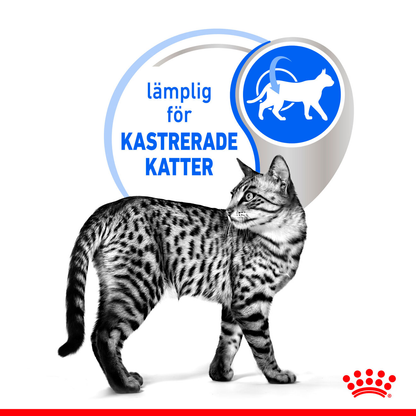 Royal Canin Indoor Jelly Adult Våtfoder för katt