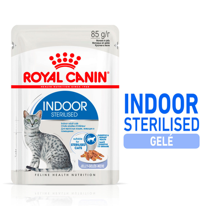 Royal Canin Indoor Jelly Adult Våtfoder för katt