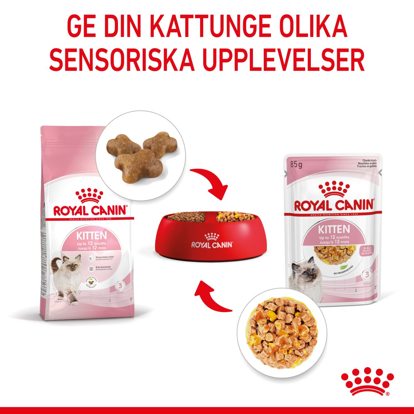 Royal Canin Kitten Jelly Våtfoder för kattunge