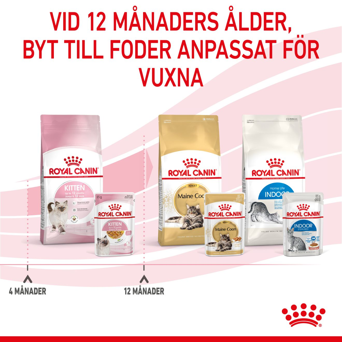 Royal Canin Kitten Jelly Våtfoder för kattunge