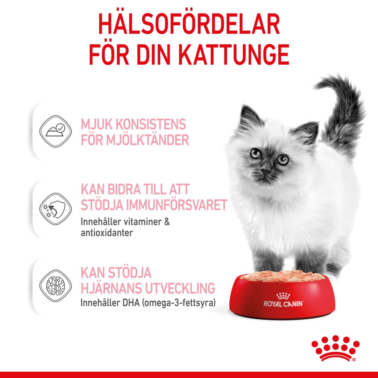 Royal Canin Kitten Loaf Våtfoder för kattunge