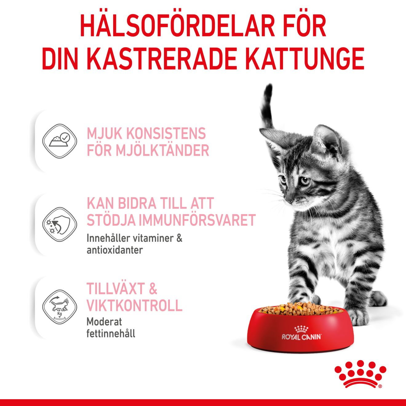 Royal Canin Kitten Sterilised Jelly Våtfoder för kattunge