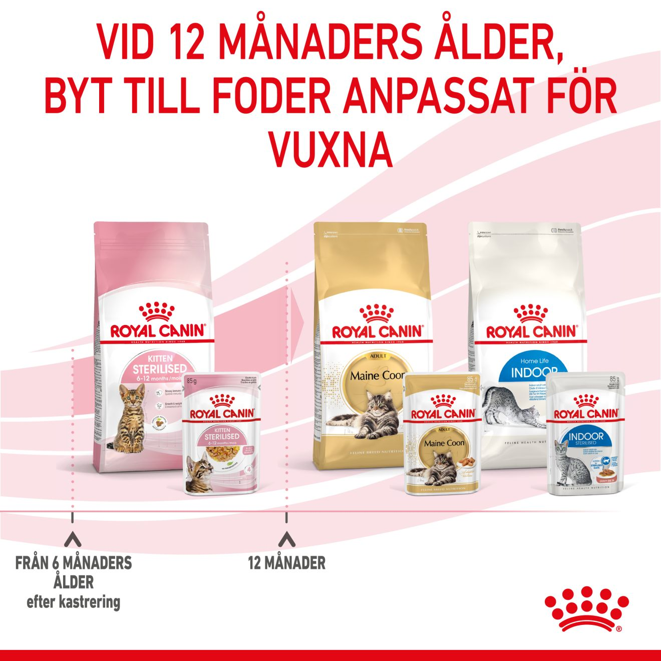 Royal Canin Kitten Sterilised Jelly Våtfoder för kattunge