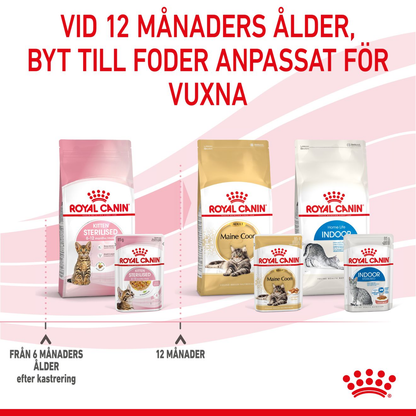 Royal Canin Kitten Sterilised Jelly Våtfoder för kattunge