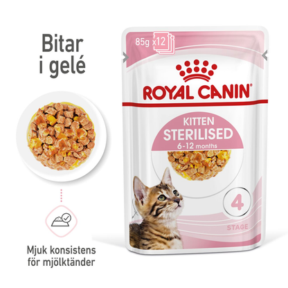 Royal Canin Kitten Sterilised Jelly Våtfoder för kattunge