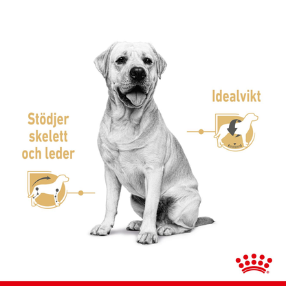 Royal Canin Labrador Retriever Våtfoder för hund