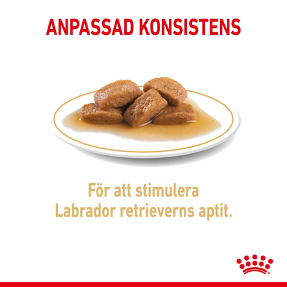 Royal Canin Labrador Retriever Våtfoder för hund