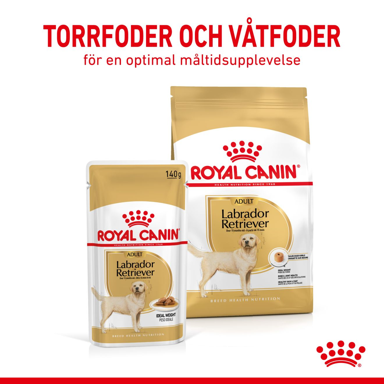 Royal Canin Labrador Retriever Våtfoder för hund