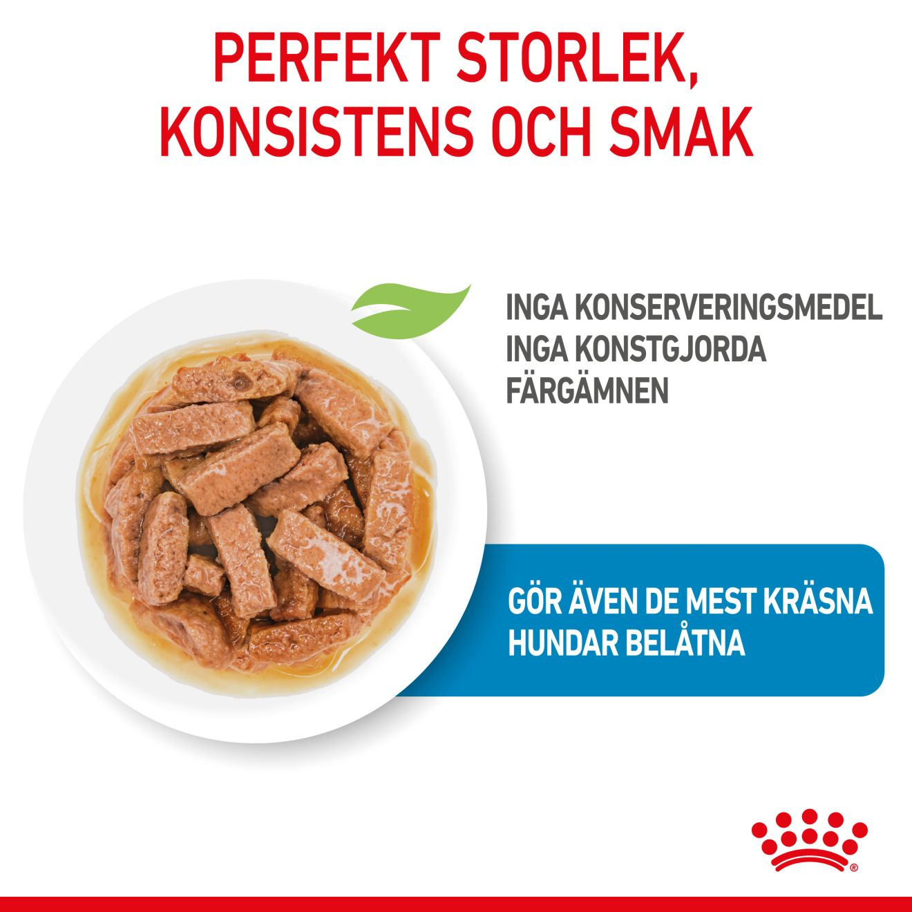 Royal Canin Maxi Puppy Våtfoder för hundvalp