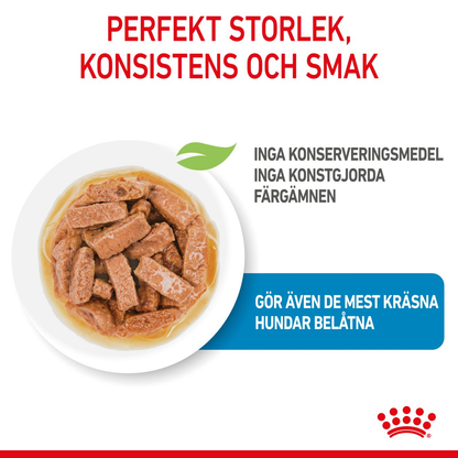 Royal Canin Maxi Puppy Våtfoder för hundvalp