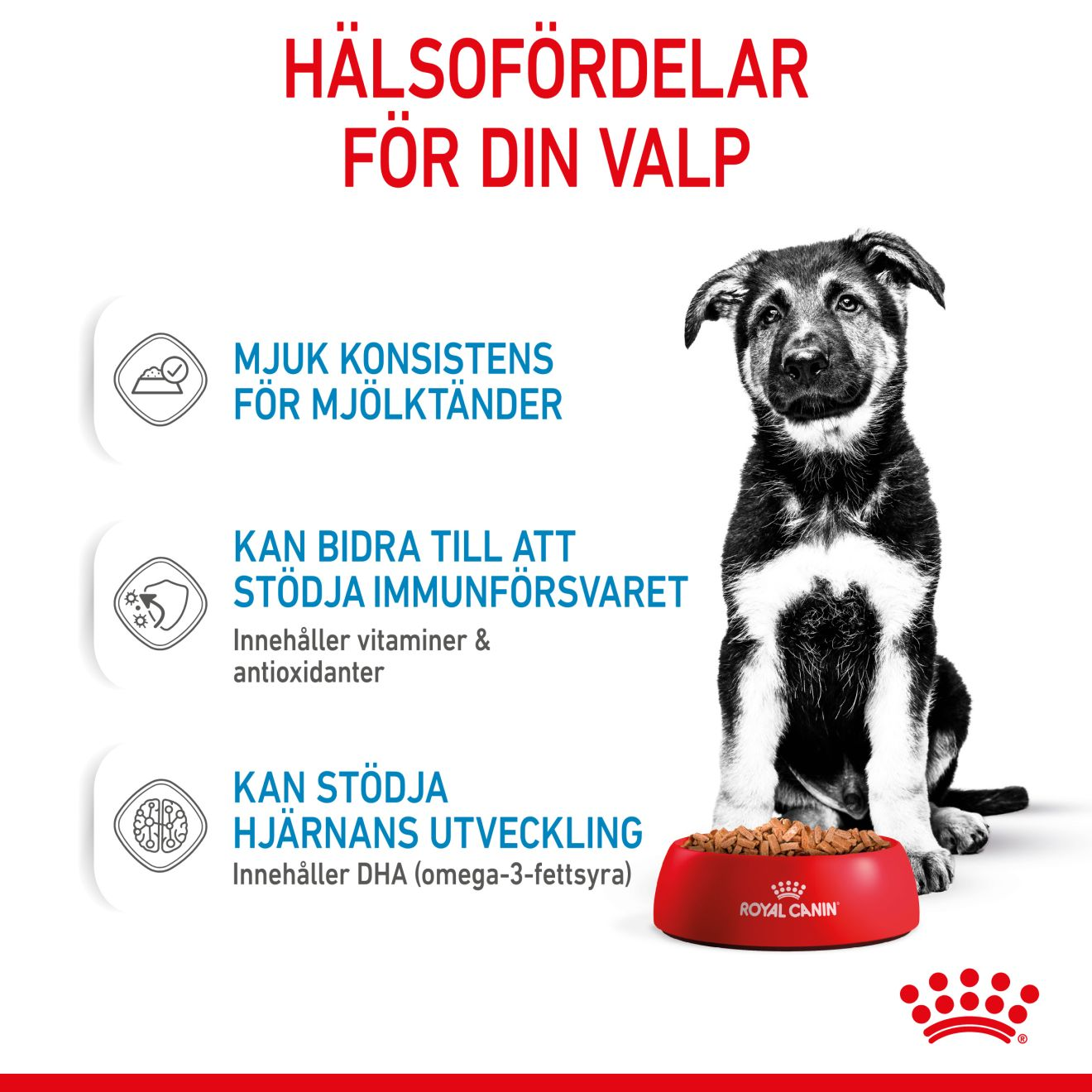 Royal Canin Maxi Puppy Våtfoder för hundvalp